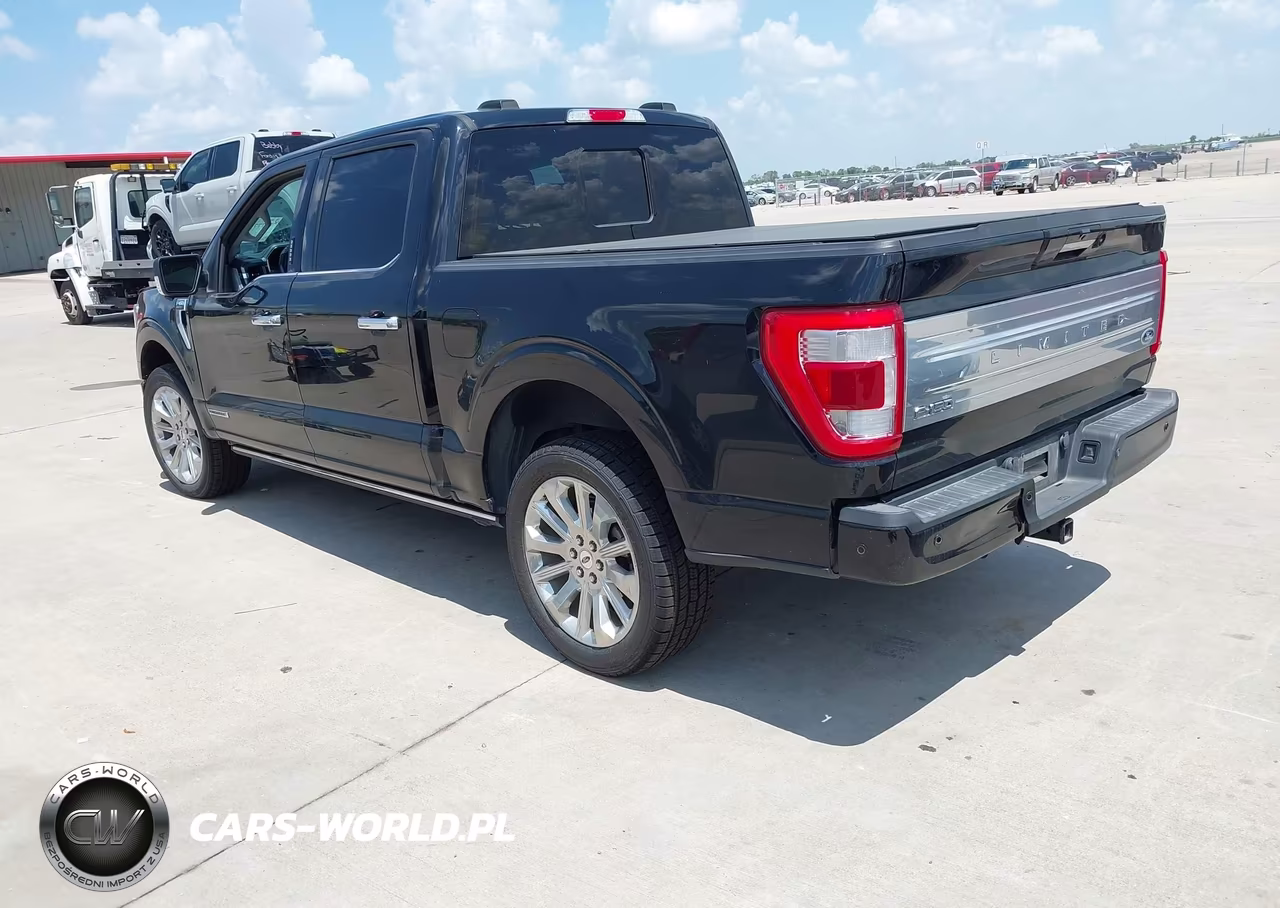2023 Ford F-150 Limited VIN:1FTFW1ED9PFC22912 - 3
