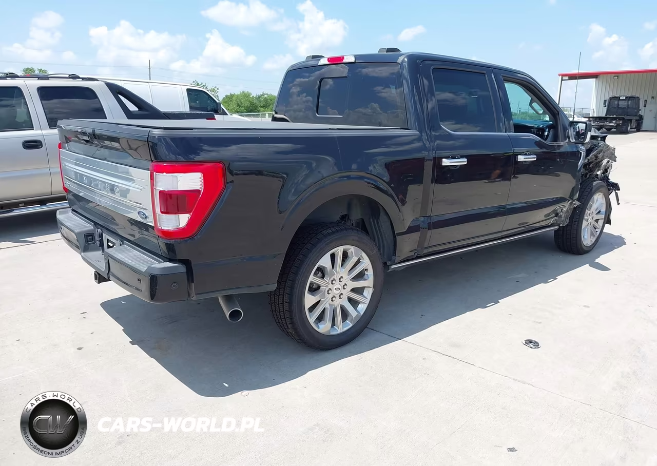2023 Ford F-150 Limited VIN:1FTFW1ED9PFC22912 - 4