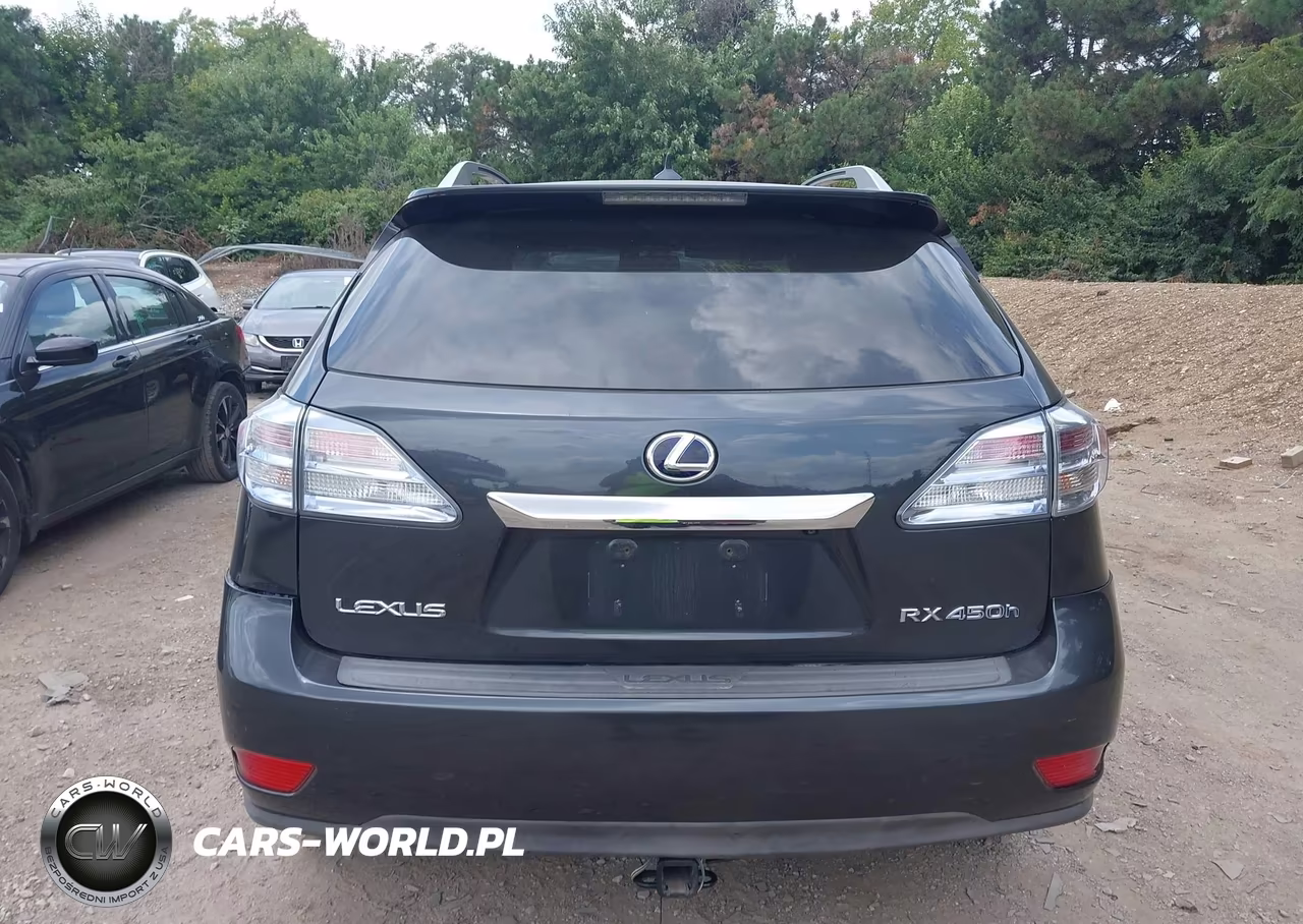 2010 Lexus Rx 450H VIN:JTJBC1BA6A2012331 - 16