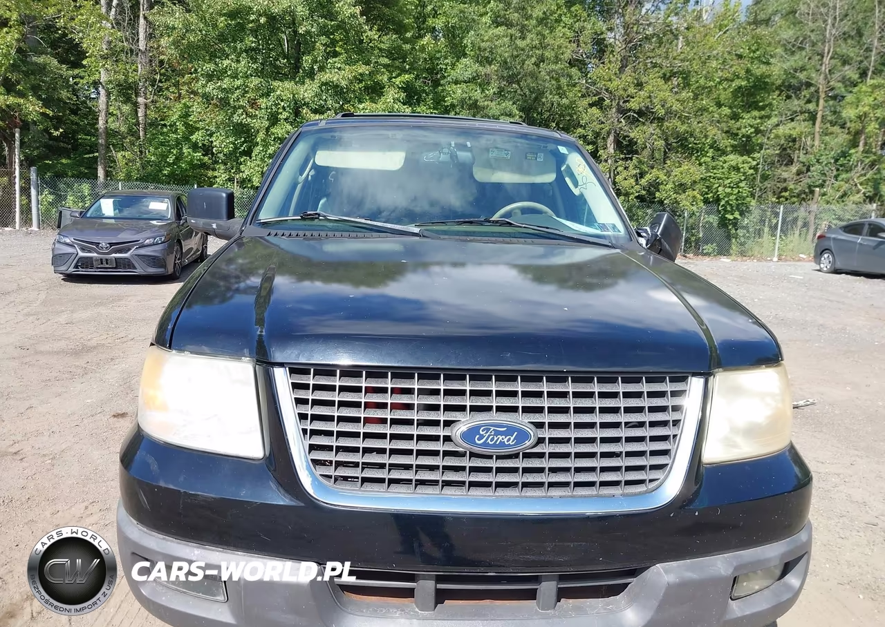 2004 Ford Expedition Xlt VIN:1FMFU16W24LB52748 - 10