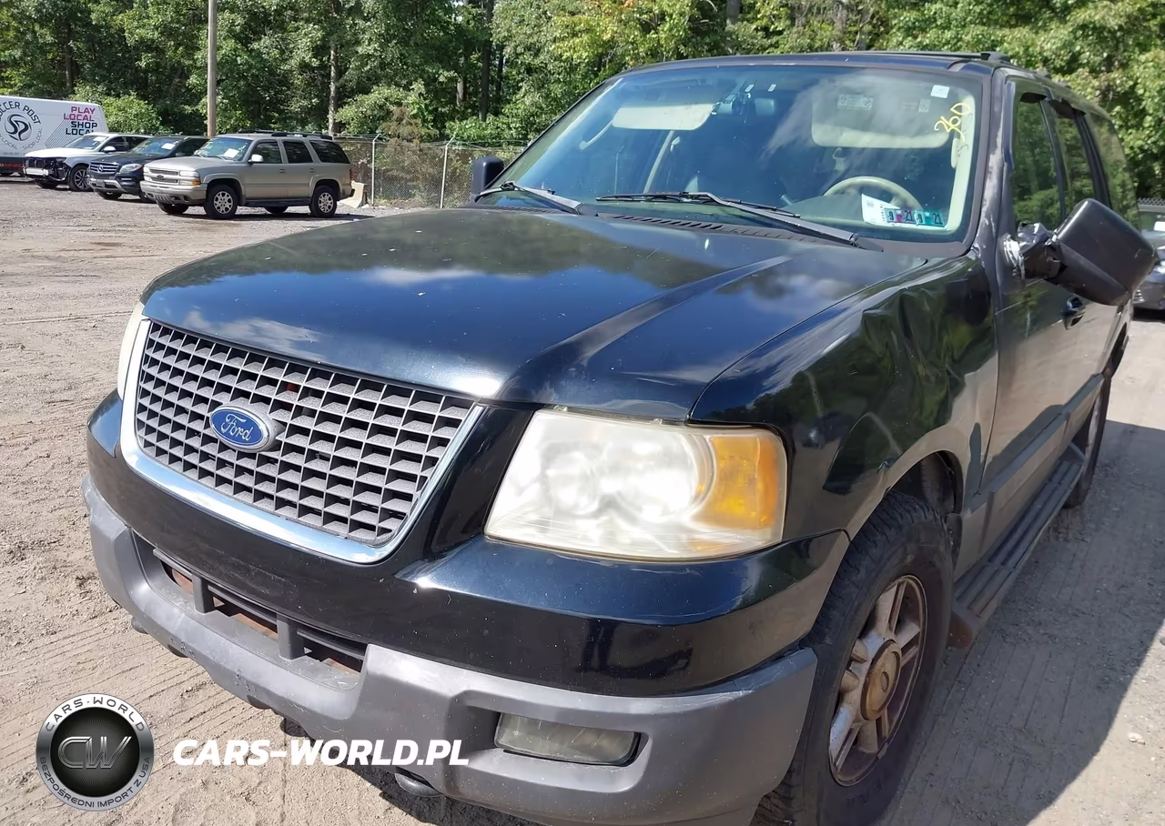 2004 Ford Expedition Xlt VIN:1FMFU16W24LB52748 - 6