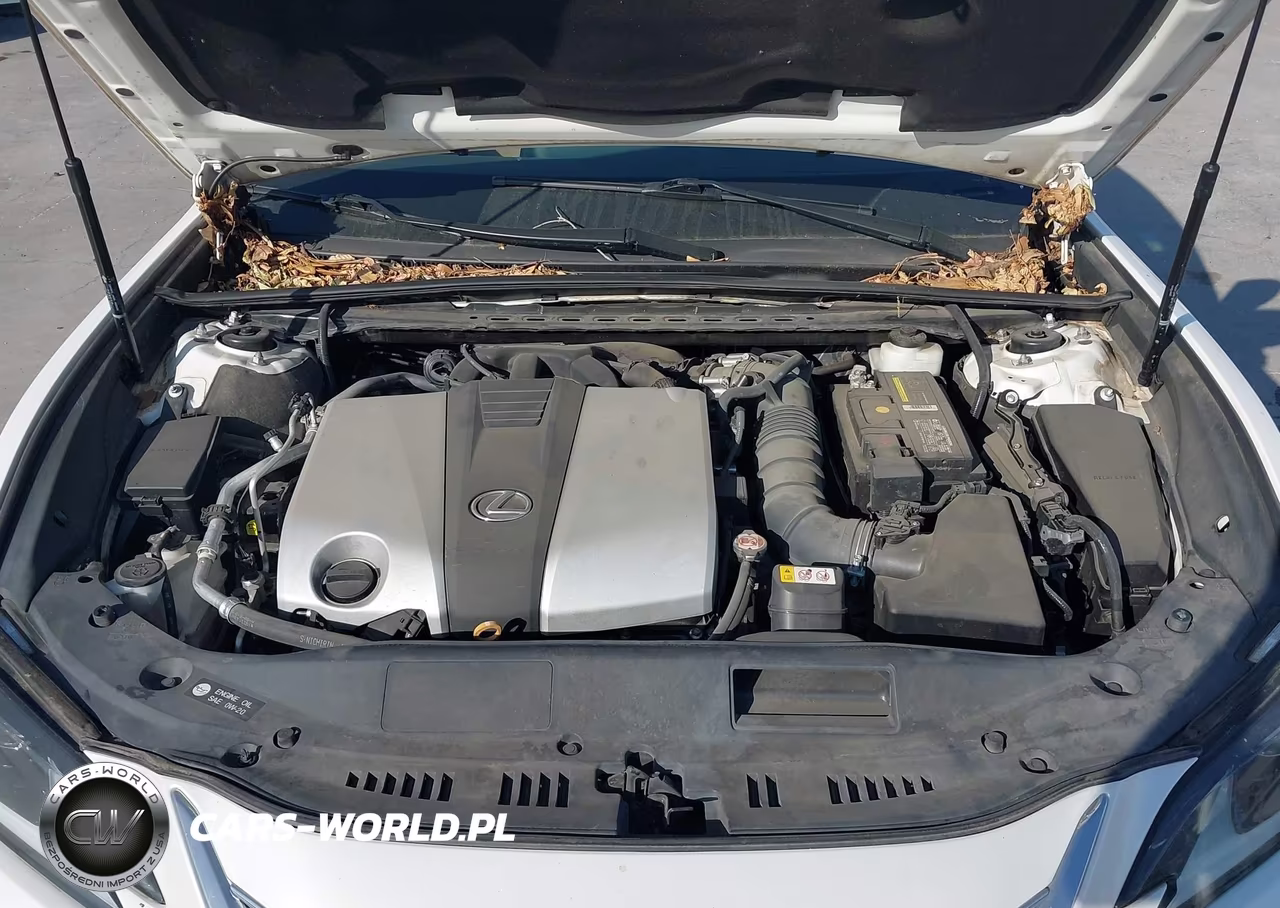 2019 Lexus Es 350 VIN:58ABZ1B18KU008681 - 10