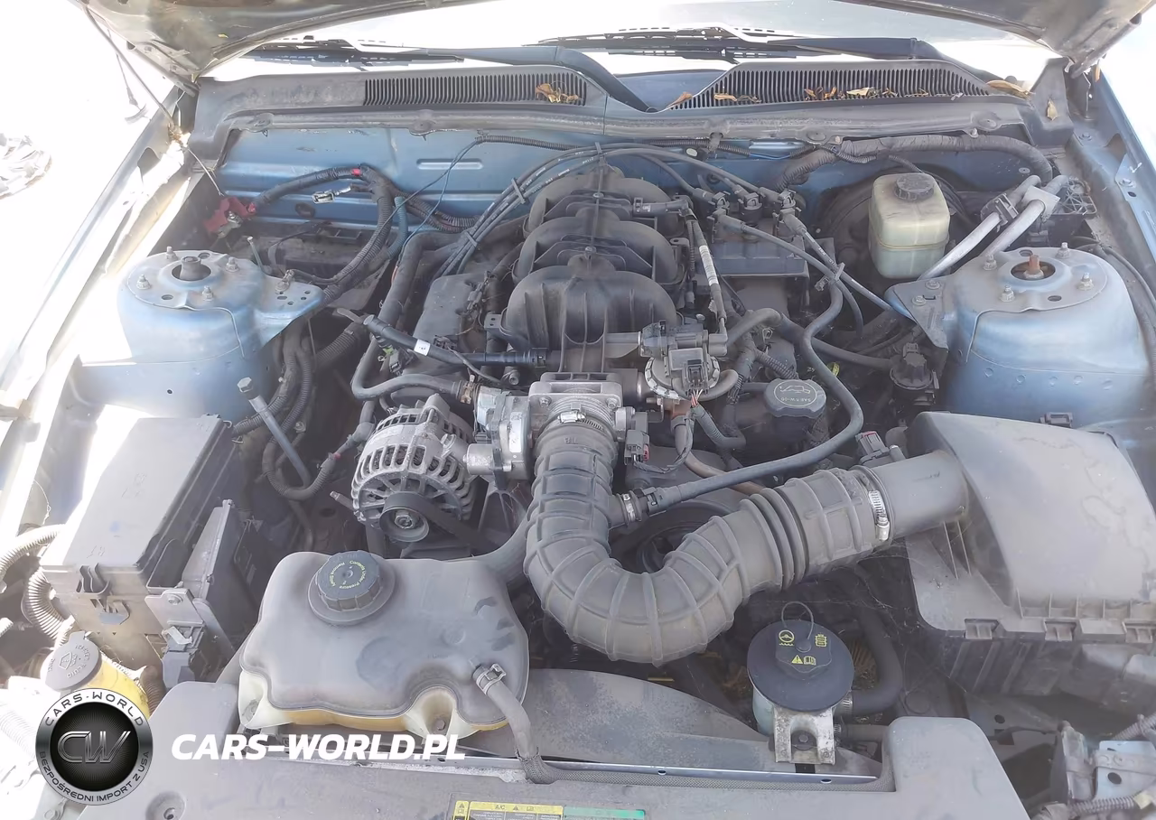 2006 Ford Mustang V6 VIN:1ZVFT80N865123209 - 10