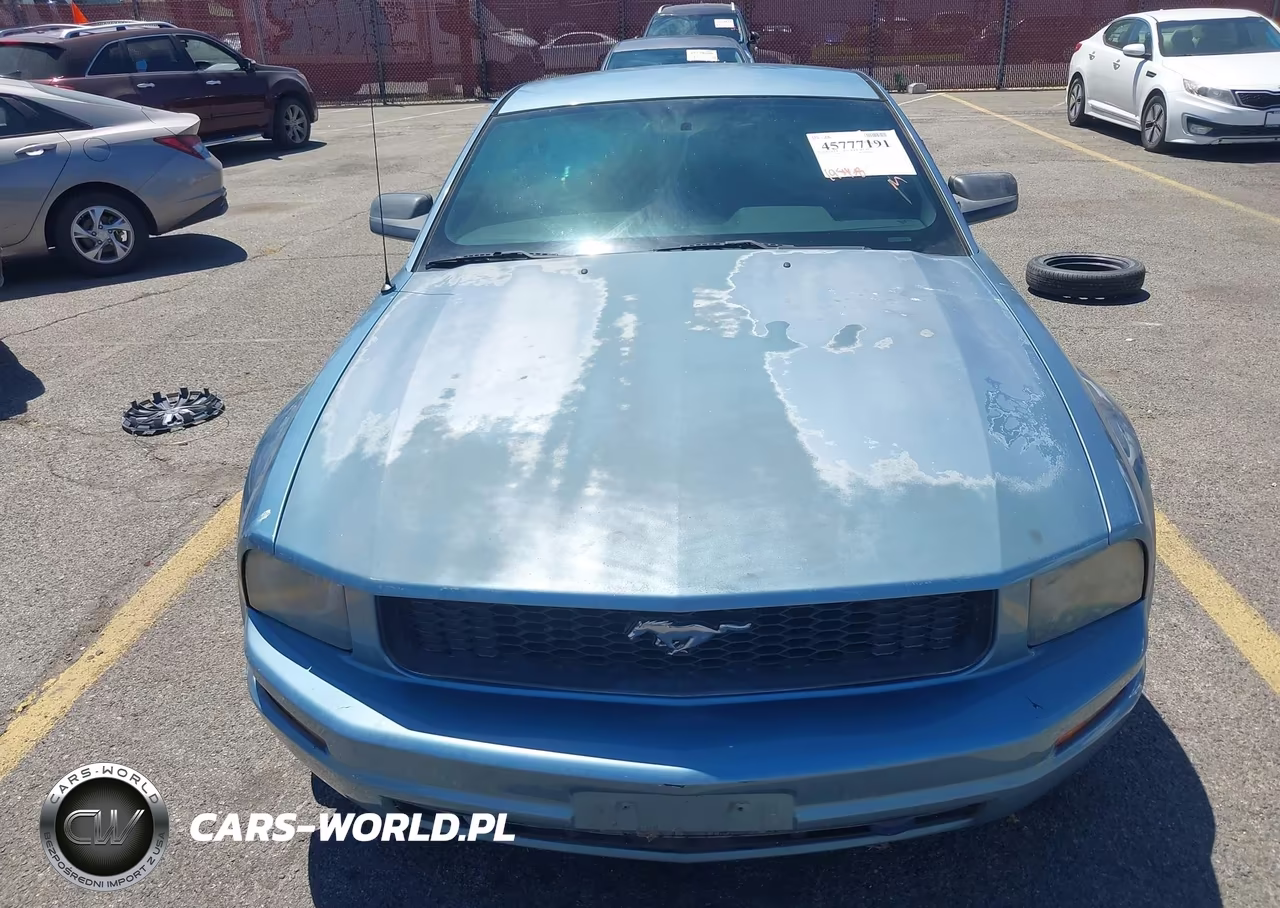 2006 Ford Mustang V6 VIN:1ZVFT80N865123209 - 6