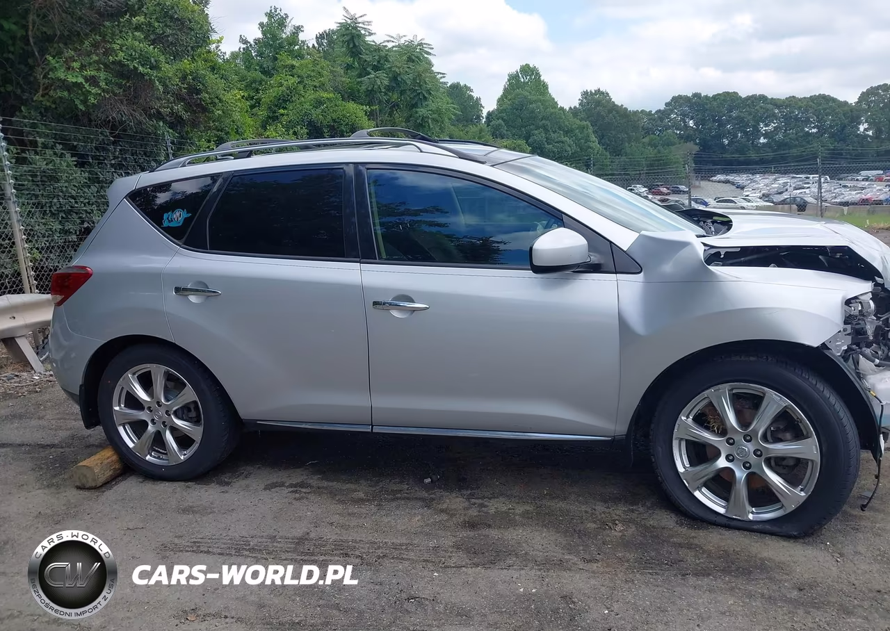 2013 Nissan Murano Le VIN:JN8AZ1MW0DW308792 - 13