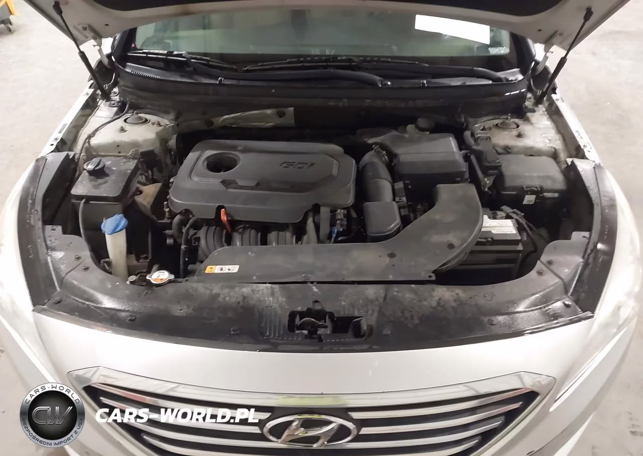 2016 Hyundai Sonata VIN:5NPE24AF3GH396965 - 10