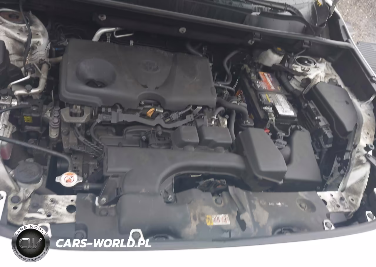 2024 Toyota Rav4 Xle VIN:2T3P1RFV2RC422915 - 10