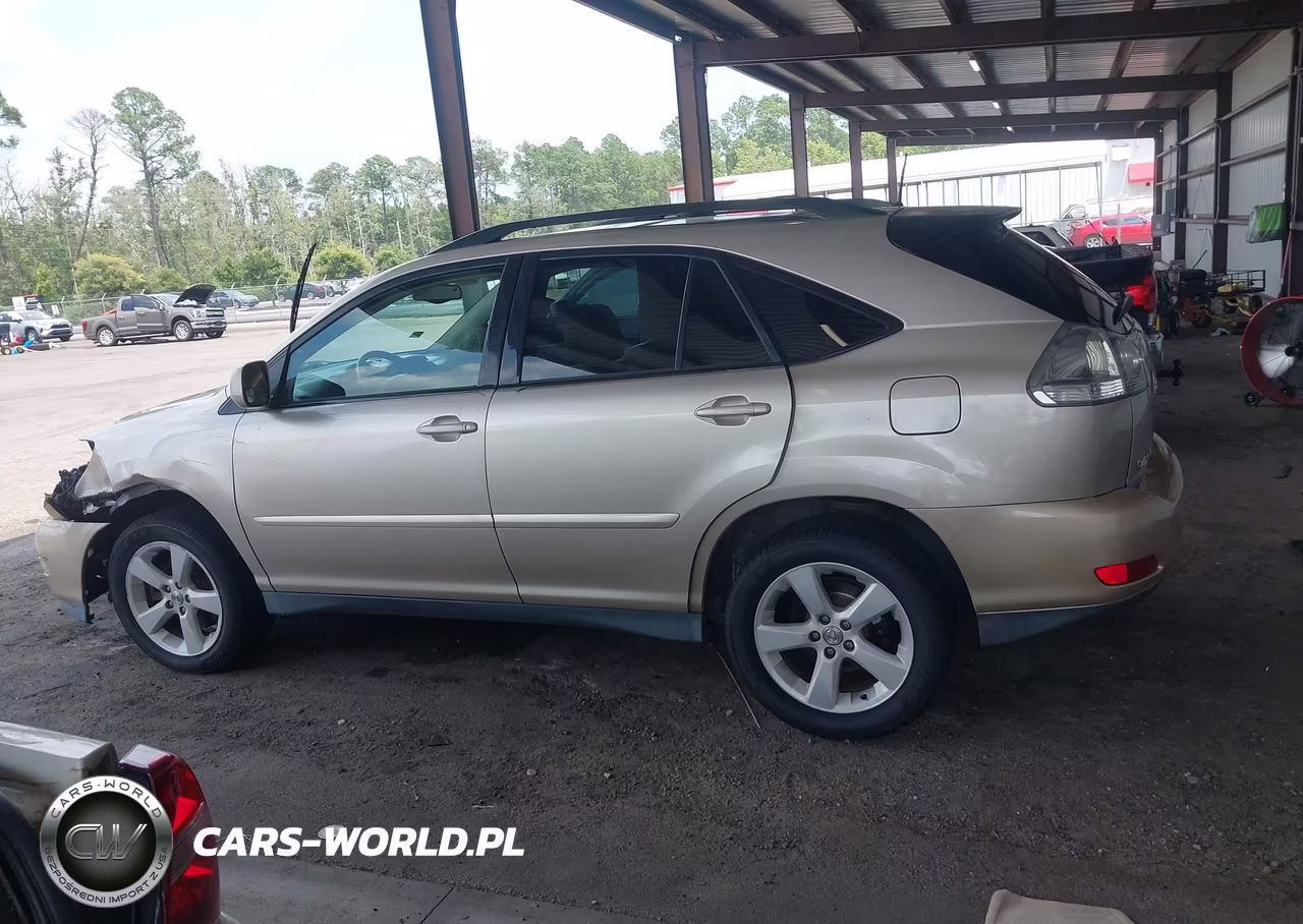 2004 Lexus Rx 330 VIN:2T2HA31U74C003049 - 14