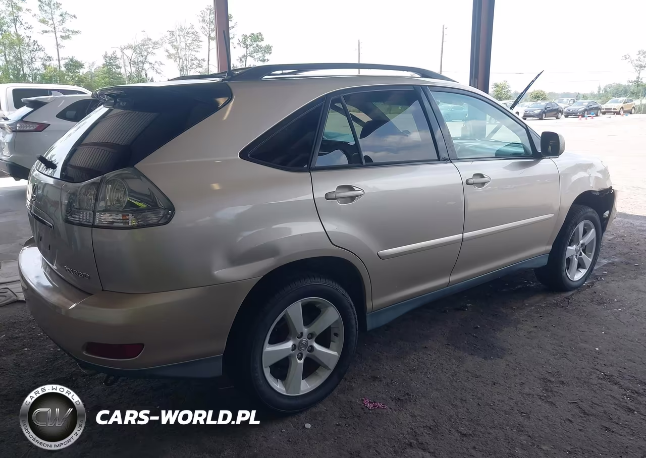 2004 Lexus Rx 330 VIN:2T2HA31U74C003049 - 4