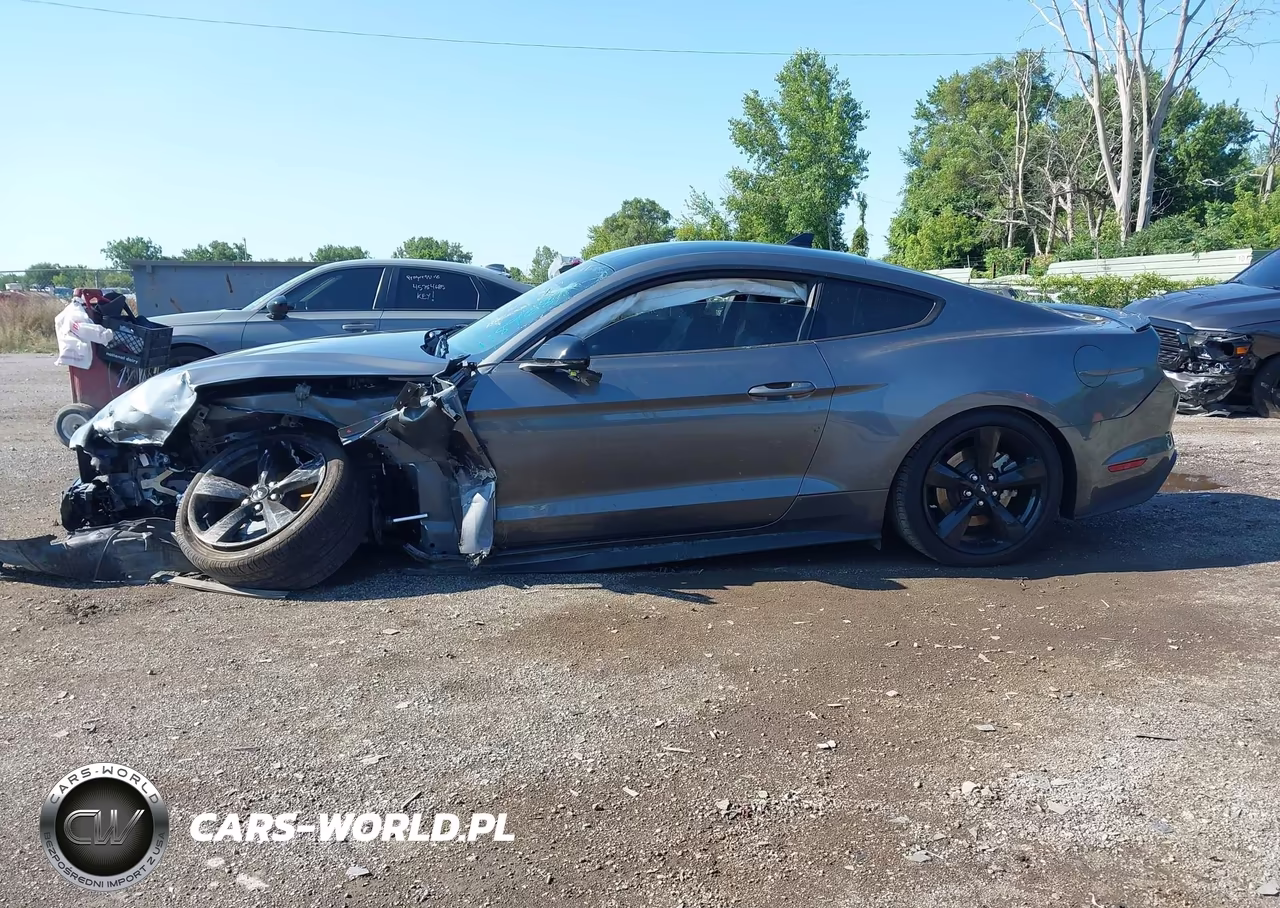 2021 Ford Mustang Gt Premium Fastback VIN:1FA6P8CF7M5118968 - 13