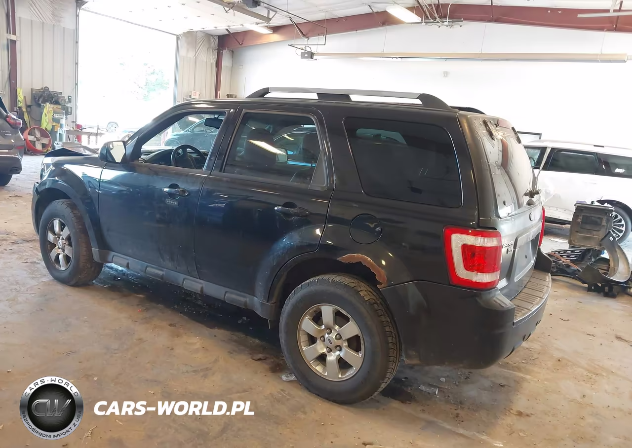 2011 Ford Escape Limited VIN:1FMCU0E70BKB33514 - 3