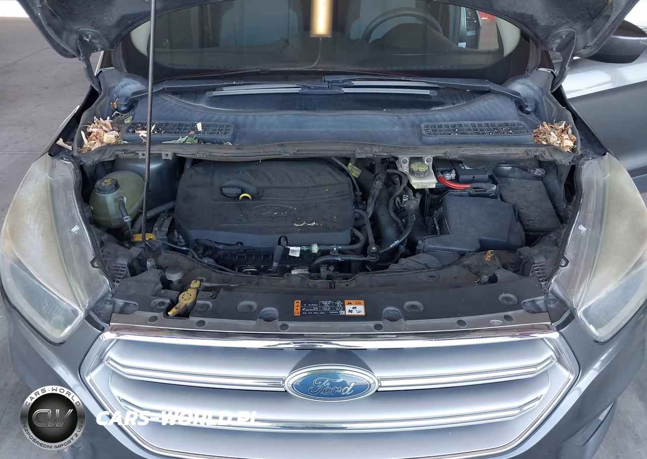 2017 Ford Escape Se VIN:1FMCU0GD4HUB81775 - 10
