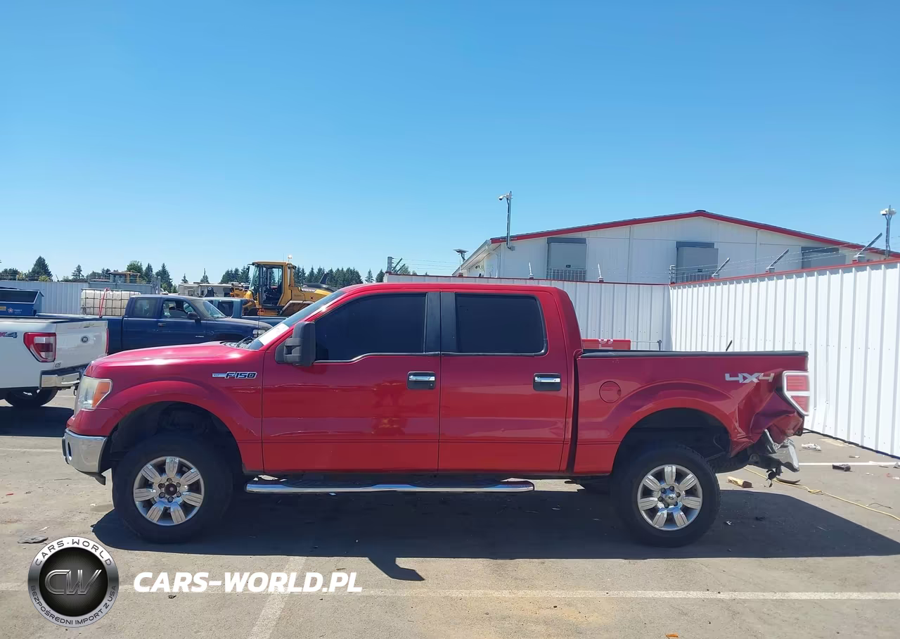 2010 Ford F-150 Fx4-Harley-Davidson-King Ranch-Lariat-Platinum-Xl-Xlt VIN:1FTFW1EV2AFC43231 - 14