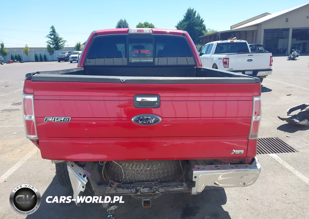 2010 Ford F-150 Fx4-Harley-Davidson-King Ranch-Lariat-Platinum-Xl-Xlt VIN:1FTFW1EV2AFC43231 - 16