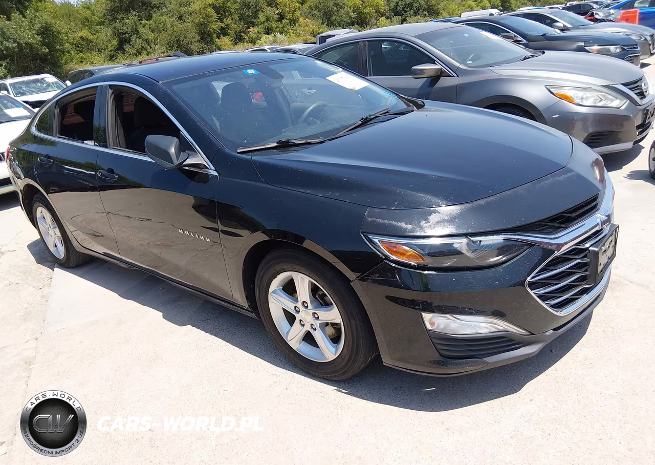 2019 Chevrolet Malibu 1Ls