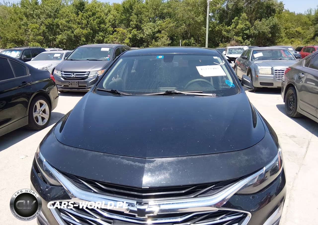 2019 Chevrolet Malibu 1Ls VIN:1G1ZB5ST2KF213076 - 6