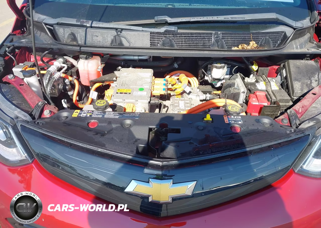 2018 Chevrolet Bolt Ev Premier VIN:1G1FX6S01J4110211 - 10