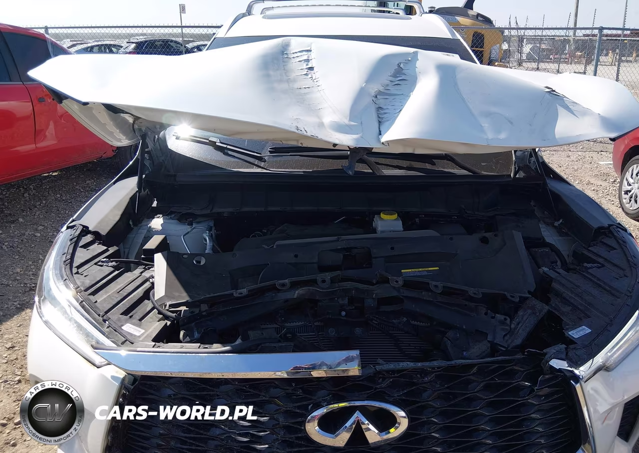 2023 Infiniti Qx60 Sensory VIN:5N1DL1GR6PC333486 - 10