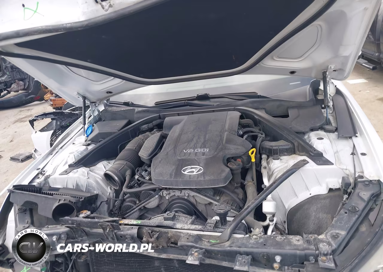 2016 Hyundai Genesis 3.8 VIN:KMHGN4JE7GU110799 - 10