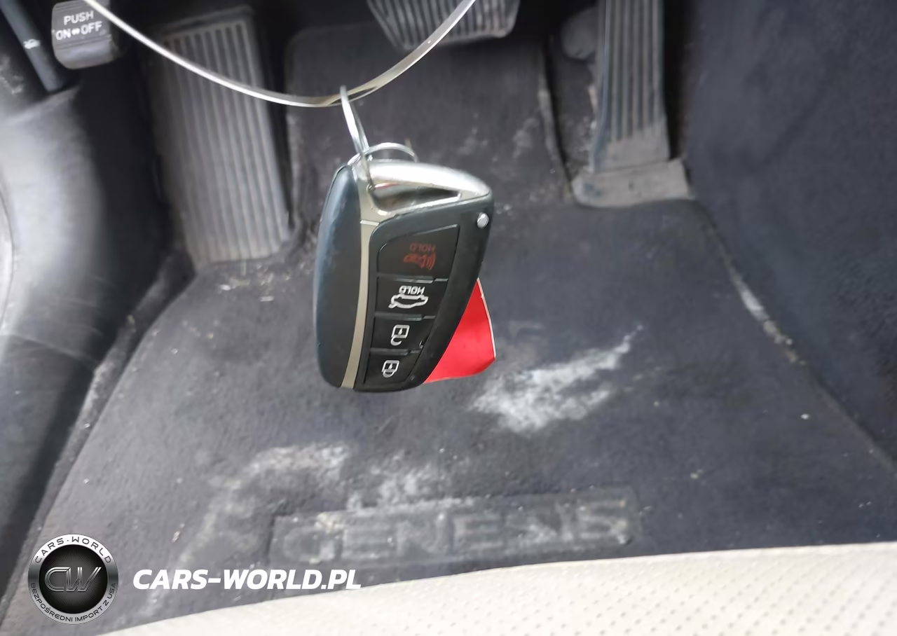 2016 Hyundai Genesis 3.8 VIN:KMHGN4JE7GU110799 - 11