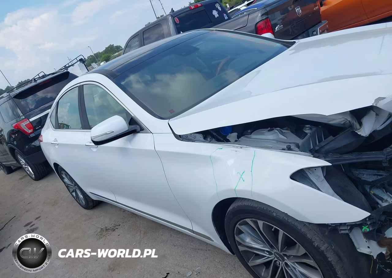 2016 Hyundai Genesis 3.8 VIN:KMHGN4JE7GU110799 - 14