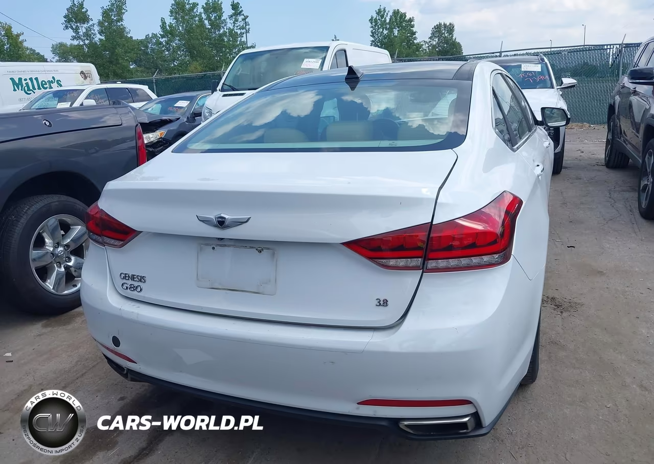 2016 Hyundai Genesis 3.8 VIN:KMHGN4JE7GU110799 - 17