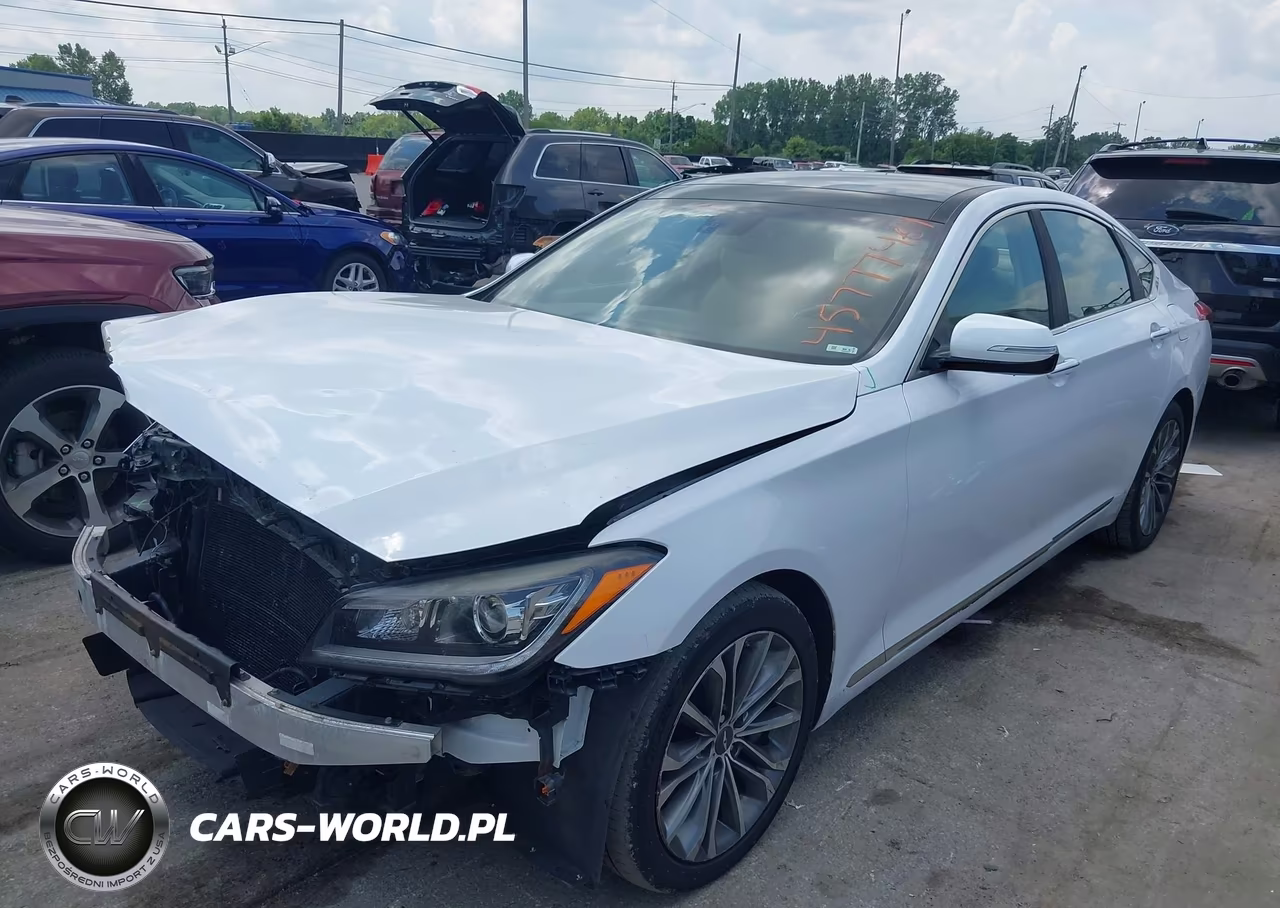 2016 Hyundai Genesis 3.8 VIN:KMHGN4JE7GU110799 - 2