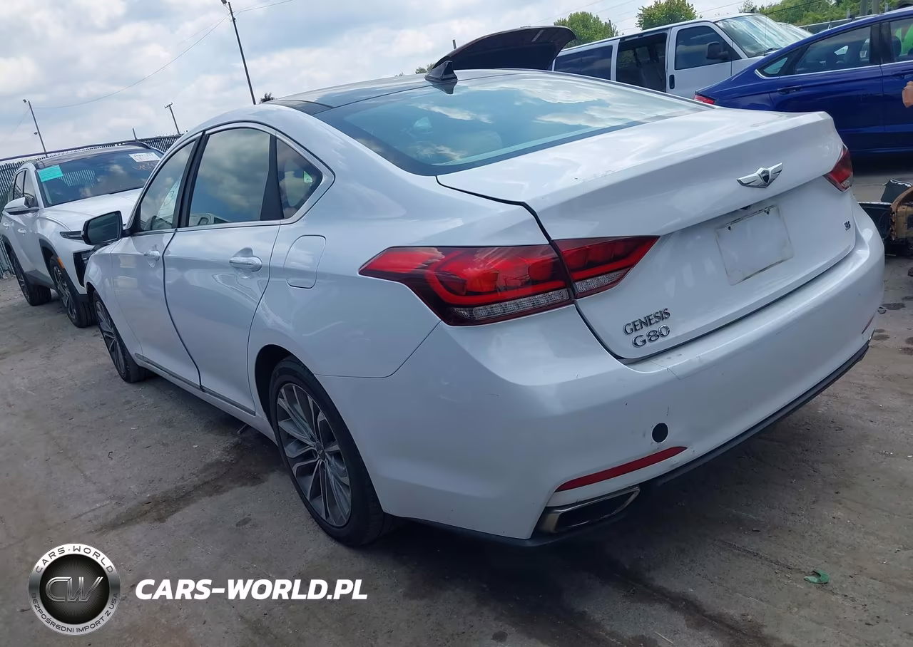 2016 Hyundai Genesis 3.8 VIN:KMHGN4JE7GU110799 - 3