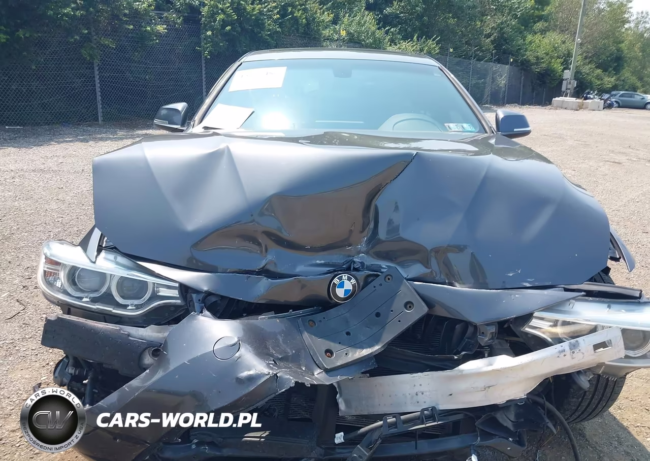 2017 BMW 430I Gran Coupe xDrive VIN:WBA4F9C55HG792481 - 10