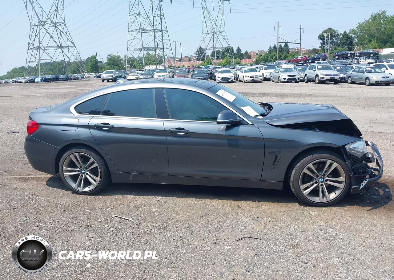 2017 BMW 430I Gran Coupe xDrive VIN:WBA4F9C55HG792481 - 13