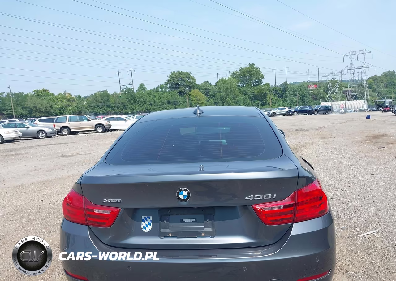 2017 BMW 430I Gran Coupe xDrive VIN:WBA4F9C55HG792481 - 16