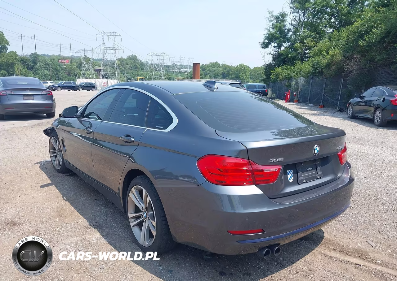 2017 BMW 430I Gran Coupe xDrive VIN:WBA4F9C55HG792481 - 3