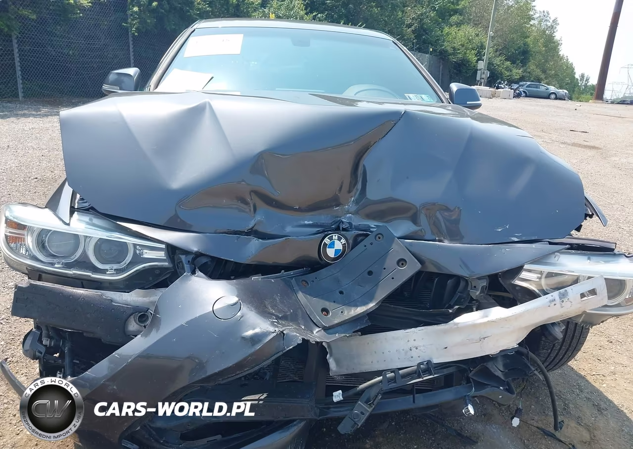2017 BMW 430I Gran Coupe xDrive VIN:WBA4F9C55HG792481 - 6