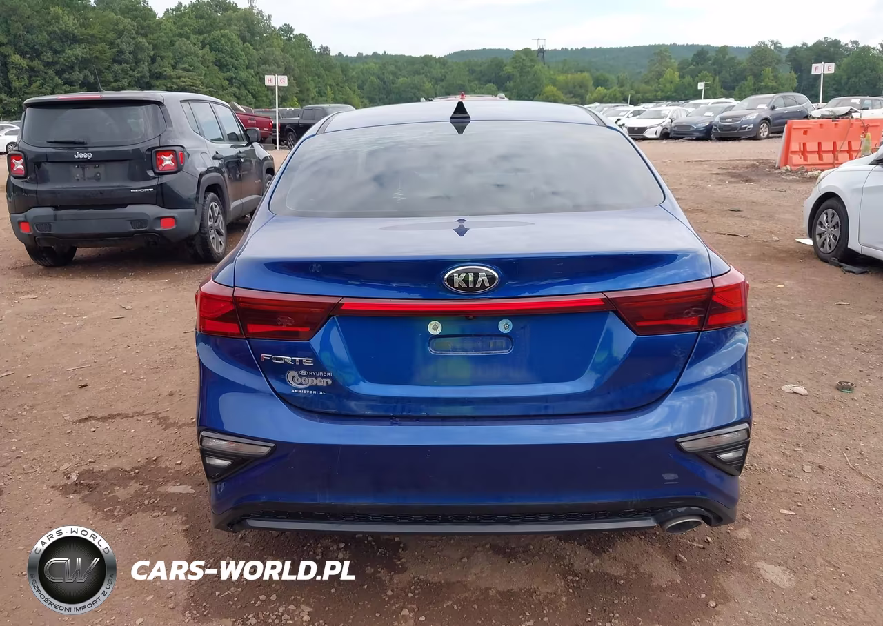 2020 Kia Forte Lxs VIN:3KPF24AD2LE237775 - 17