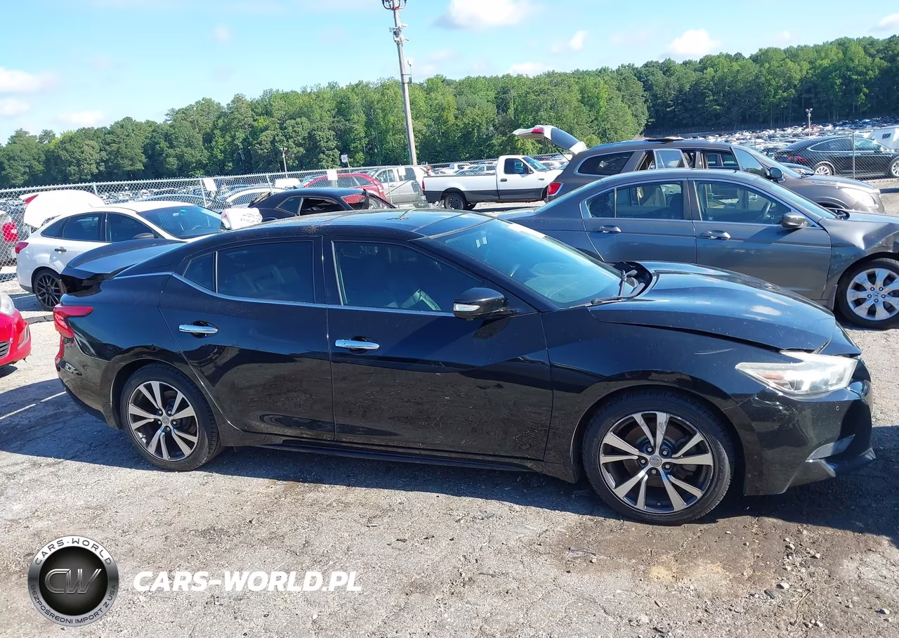 2016 Nissan Maxima 3.5 Platinum VIN:1N4AA6AP7GC446810 - 13
