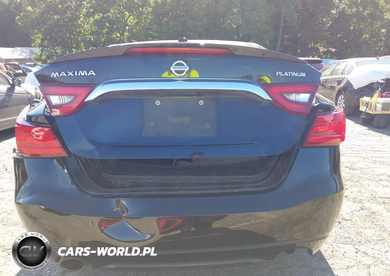 2016 Nissan Maxima 3.5 Platinum VIN:1N4AA6AP7GC446810 - 16