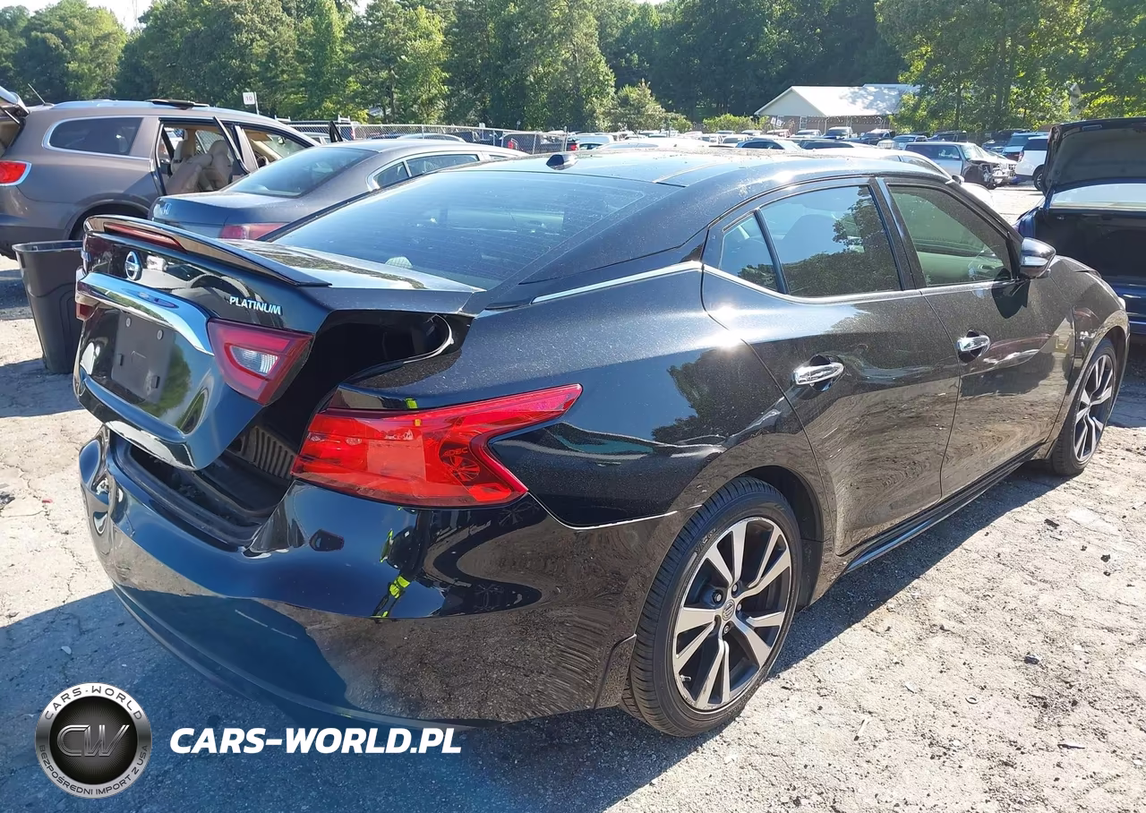 2016 Nissan Maxima 3.5 Platinum VIN:1N4AA6AP7GC446810 - 4