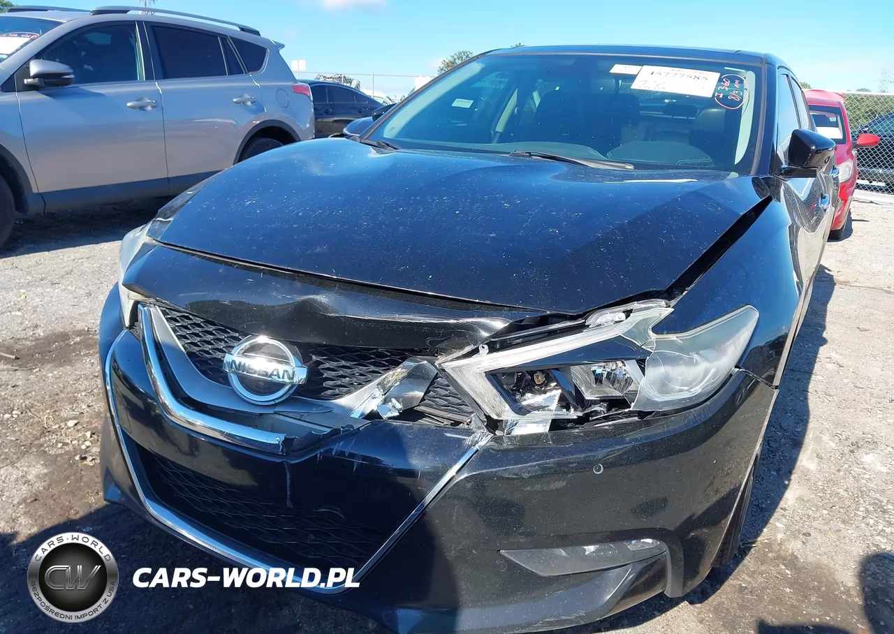 2016 Nissan Maxima 3.5 Platinum VIN:1N4AA6AP7GC446810 - 6