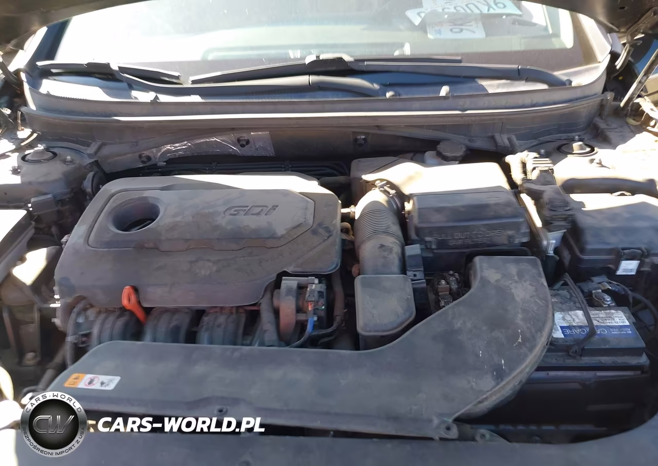 2016 Hyundai Sonata Se VIN:5NPE24AFXGH398230 - 10