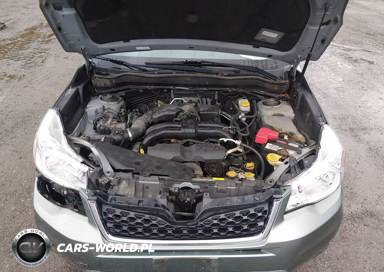 2014 Subaru Forester 2.5I Touring VIN:JF2SJAPC5EH417880 - 10