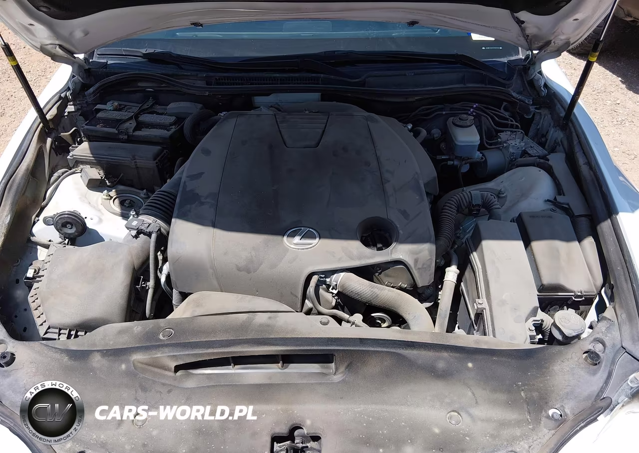 2015 Lexus Is 250 VIN:JTHBF1D21F5077320 - 10