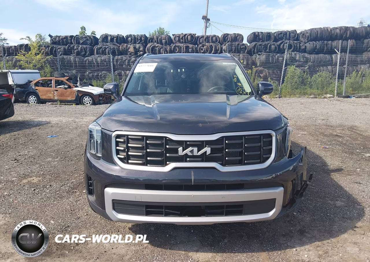 2025 Kia Telluride S VIN:5XYP64GC7SG694462 - 11