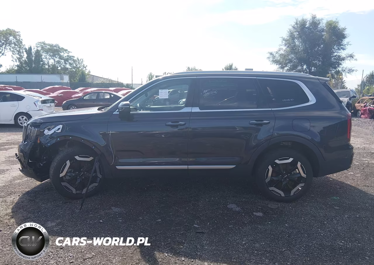 2025 Kia Telluride S VIN:5XYP64GC7SG694462 - 13