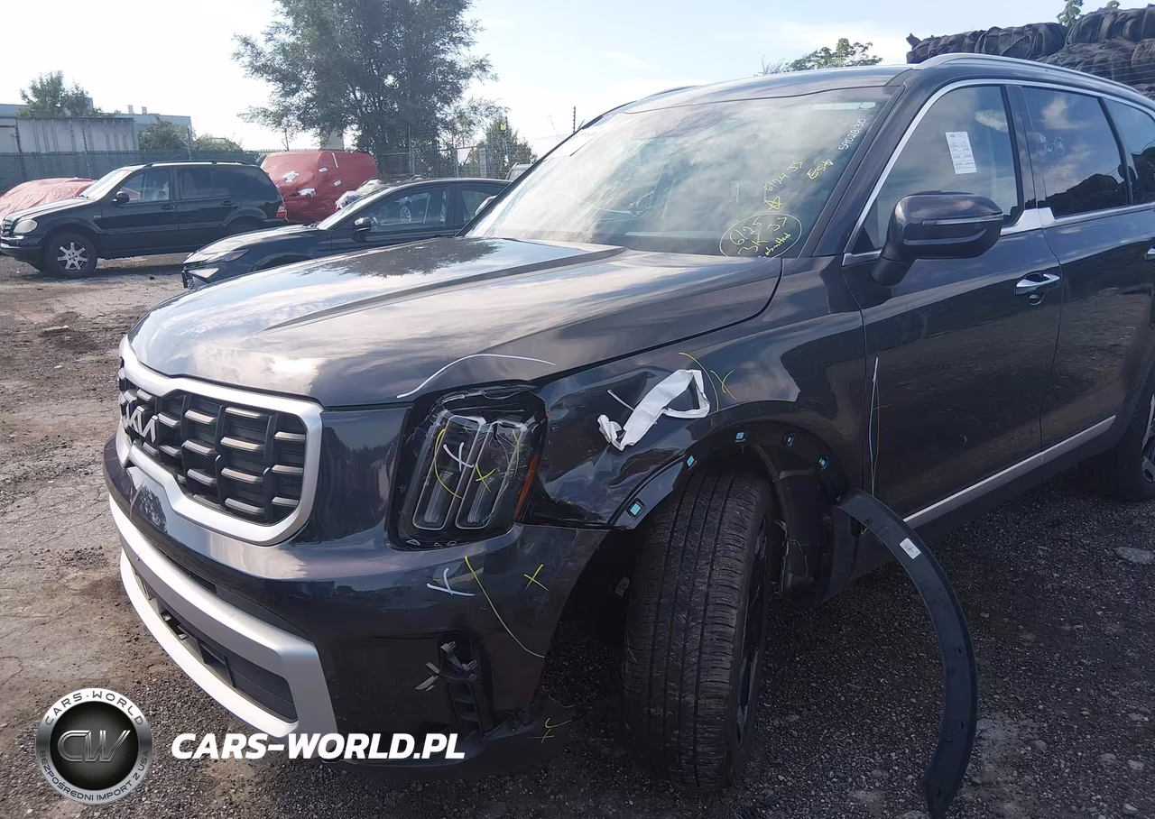 2025 Kia Telluride S VIN:5XYP64GC7SG694462 - 6