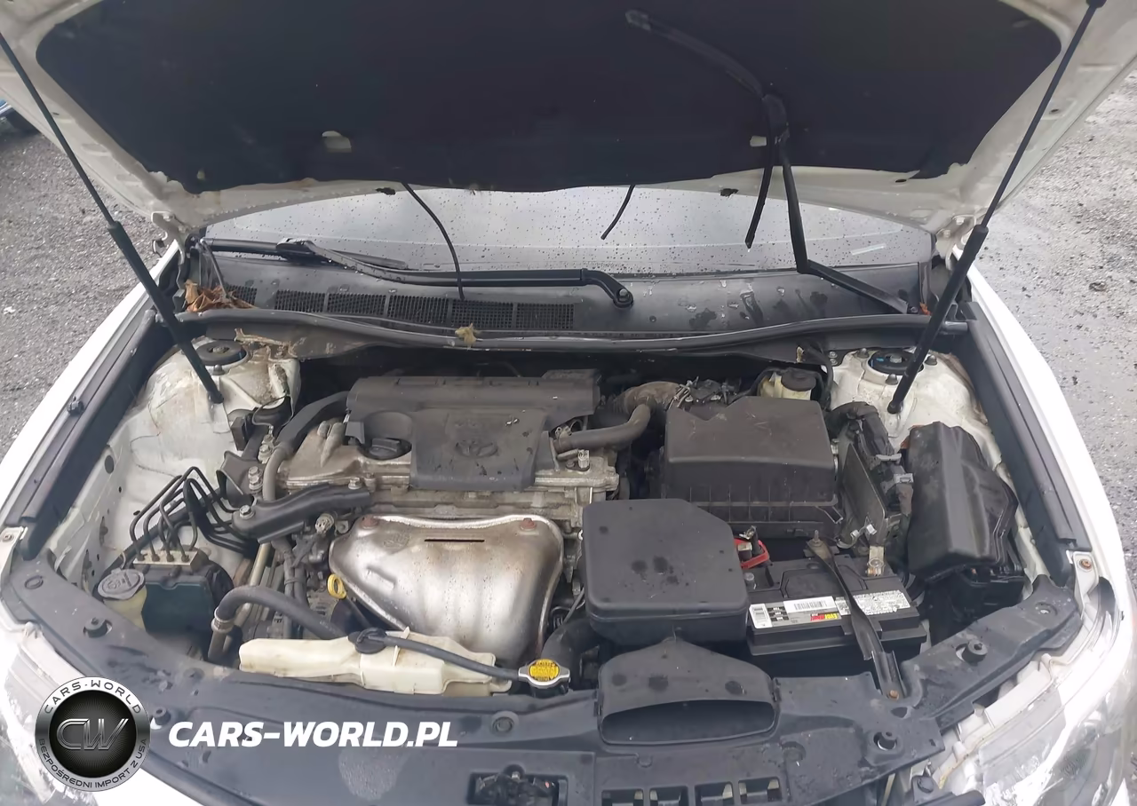 2014 Toyota Camry Se VIN:4T1BF1FK6EU414126 - 10
