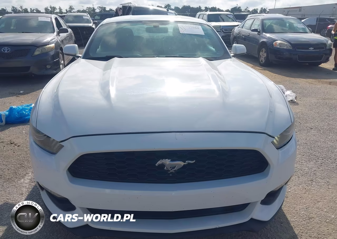 2017 Ford Mustang V6 VIN:1FA6P8AM0H5342915 - 12