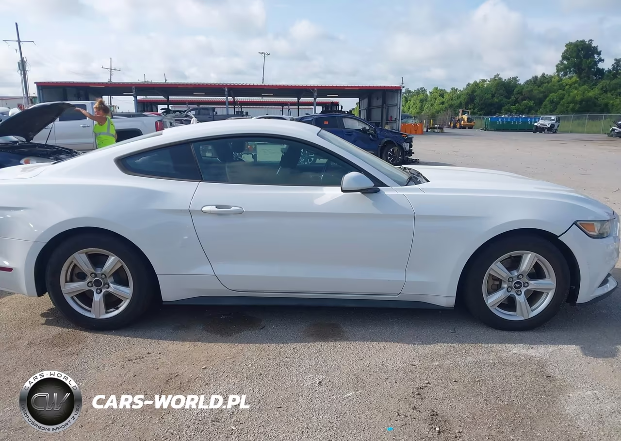 2017 Ford Mustang V6 VIN:1FA6P8AM0H5342915 - 13