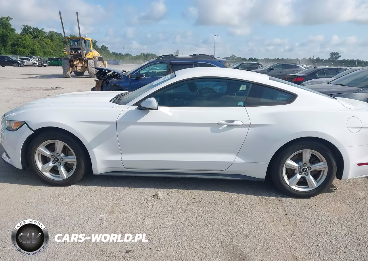 2017 Ford Mustang V6 VIN:1FA6P8AM0H5342915 - 14