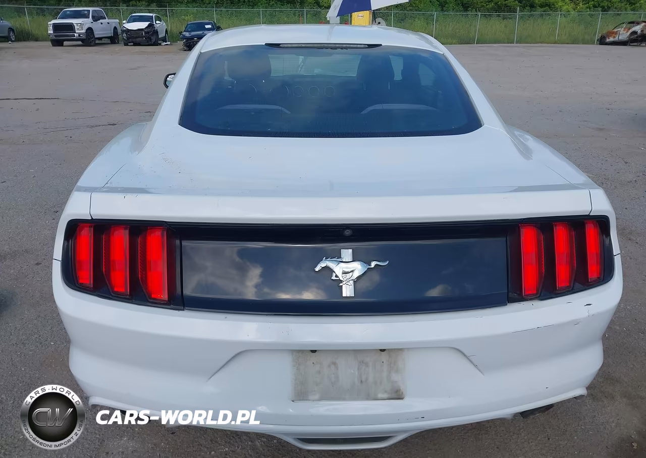 2017 Ford Mustang V6 VIN:1FA6P8AM0H5342915 - 16