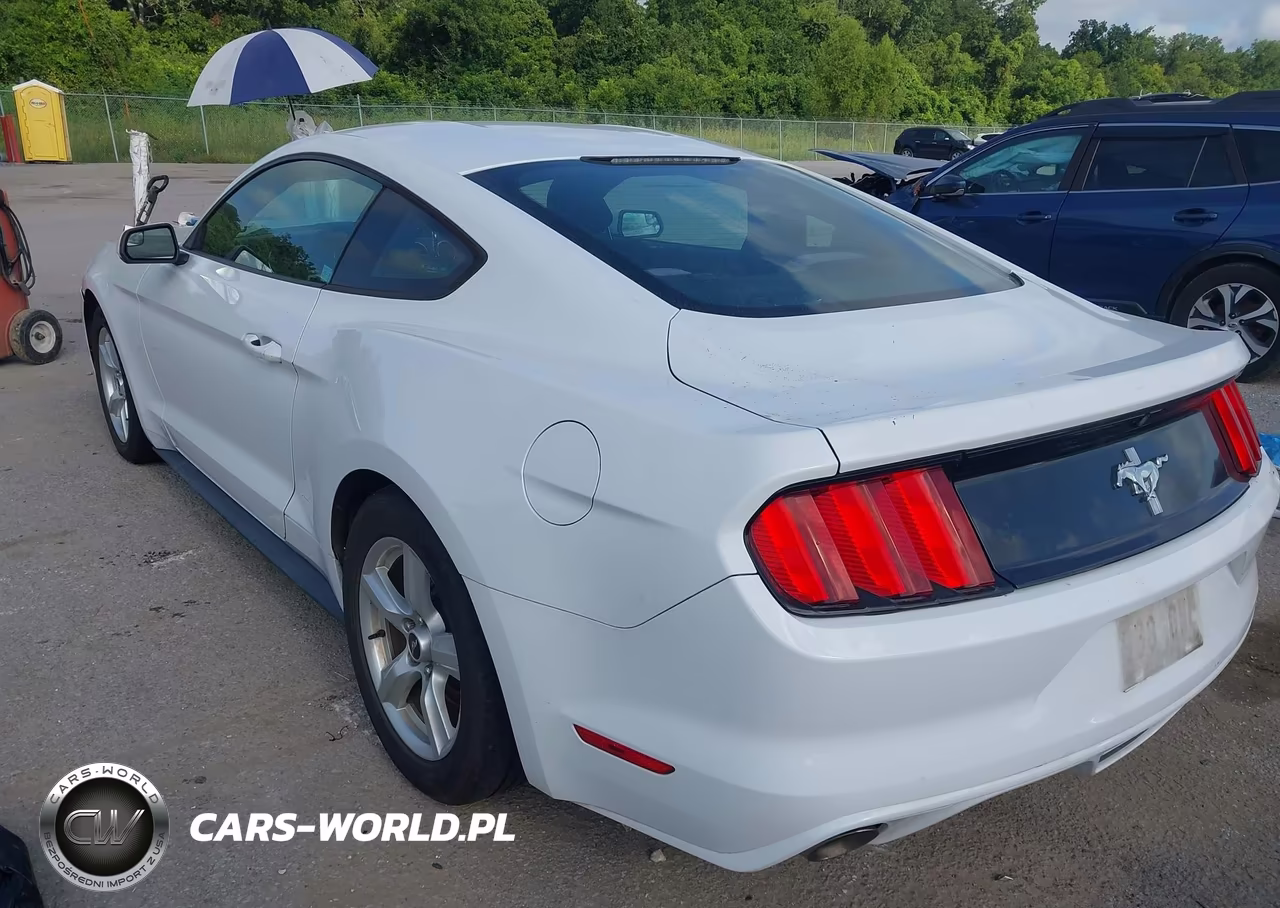 2017 Ford Mustang V6 VIN:1FA6P8AM0H5342915 - 3